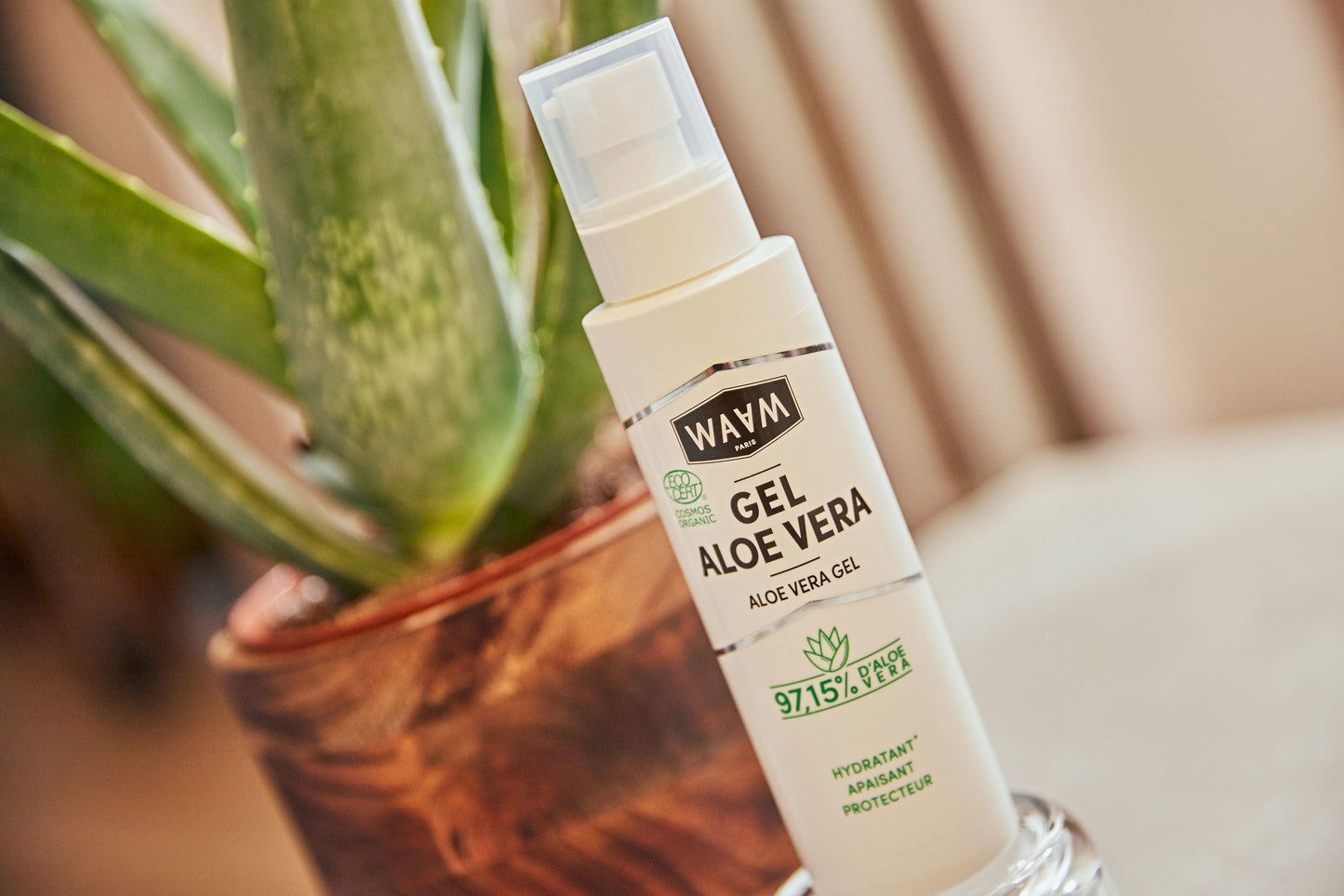 Gel d'Aloe vera bio 100mL I Waam Cosmetics