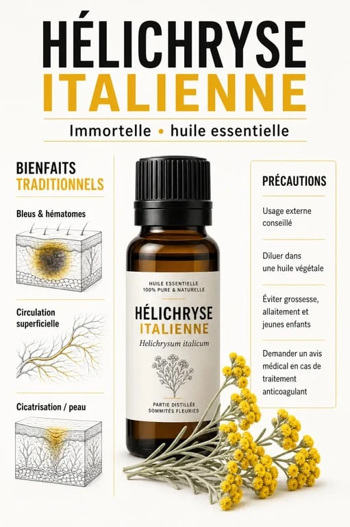 Infographie sur les hélichryse bienfaits avec ses usages contre les bleus, la circulation et les cicatrices